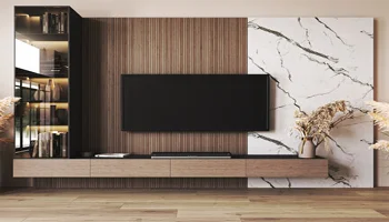 Best TV Unit Design in Asiyana